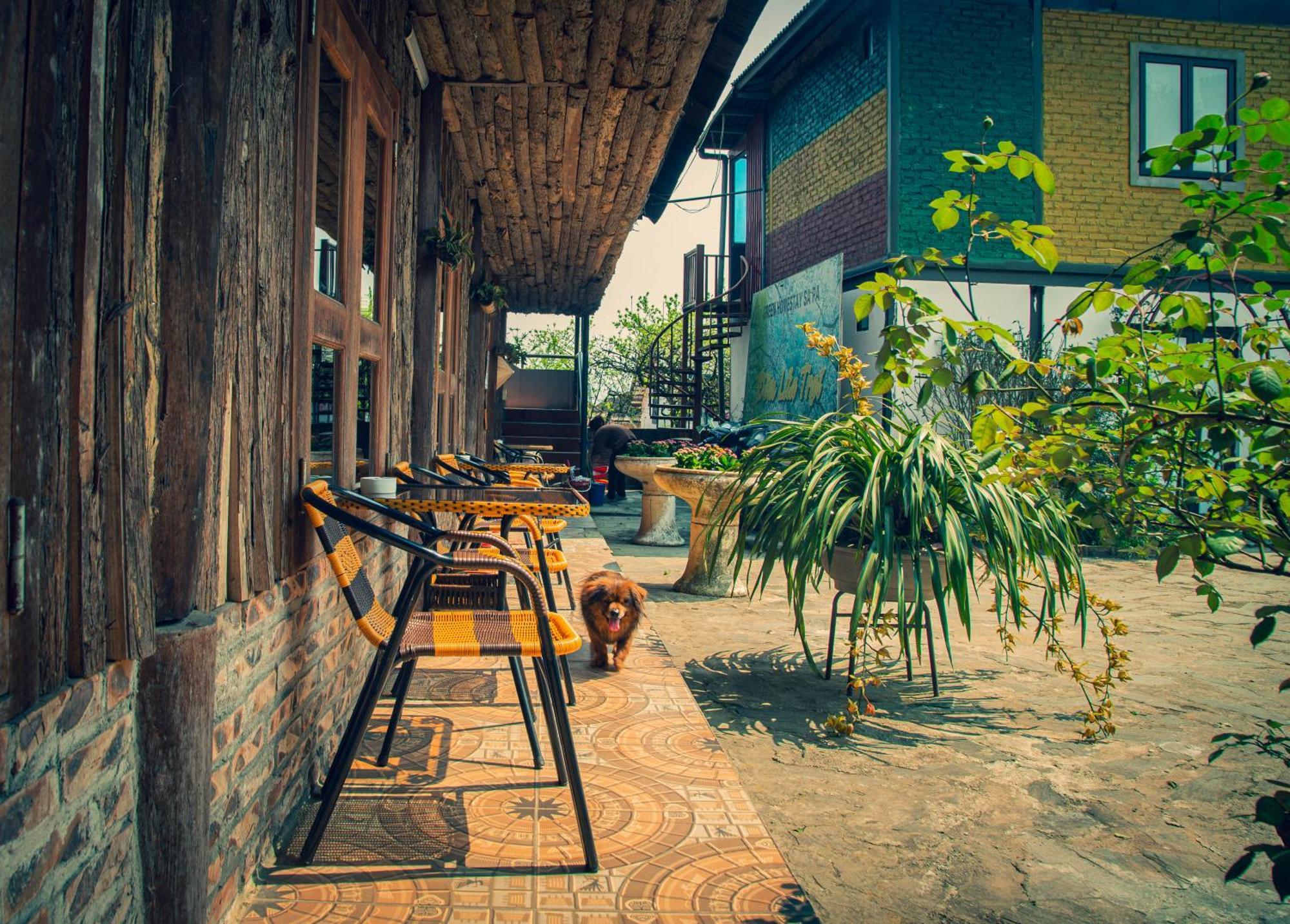 Green Sapa Homestay Εξωτερικό φωτογραφία